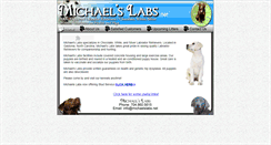 Desktop Screenshot of michaelslabs.net