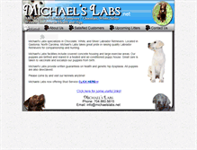 Tablet Screenshot of michaelslabs.net